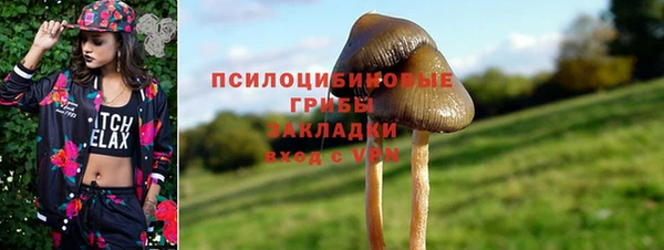 гидра Магас