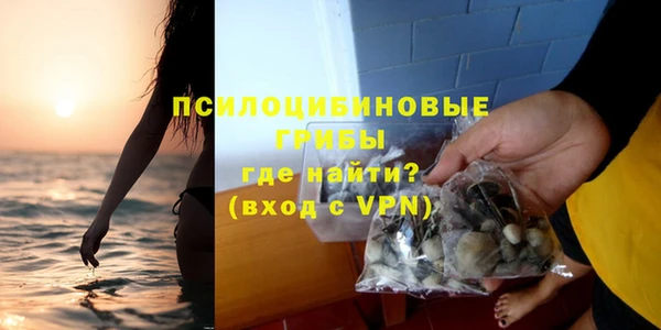 гидра Магас