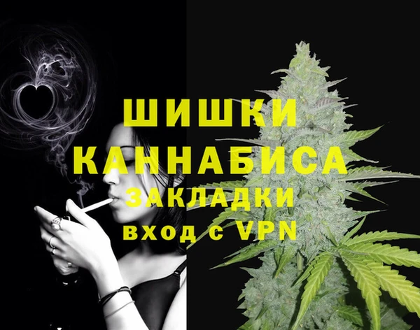 гидра Магас