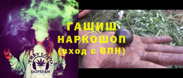 гидра Магас