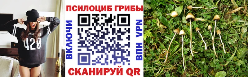 Псилоцибиновые грибы Magic Shrooms  Купить  Заринск 